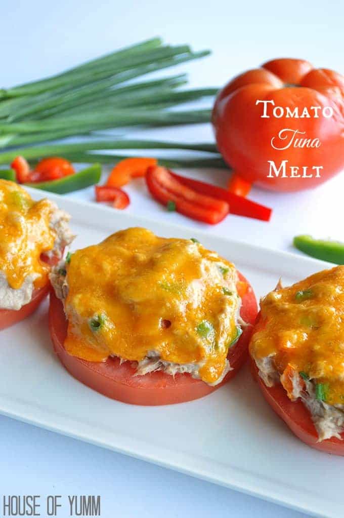 Tomato Tuna Melt Recipe | 12 Fresh Tomato Recipes To Enjoy The Most From Your Harvest