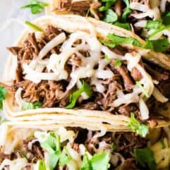 Sweet Barbacoa loaded into soft white corn tortillas and topped with melted cheese.