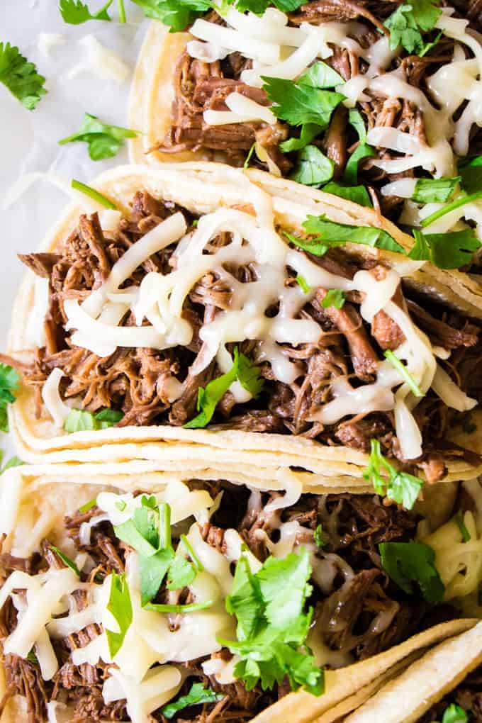 Sweet Barbacoa loaded up in corn tortillas, topped with melty jack cheese and chopped cilantro.