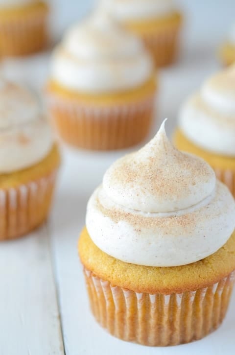 20+ Must Make Fall Cupcake Recipes! All the pumpkin, maple, apple and pecan you can handle!