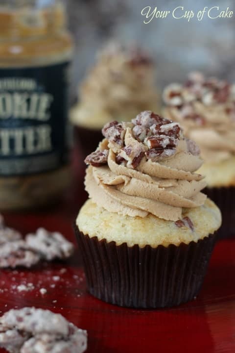 20+ Must Make Fall Cupcake Recipes! All the pumpkin, maple, apple and pecan you can handle!