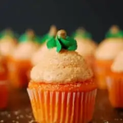 Pumpkin Cupcakes by The Gunny Sack.