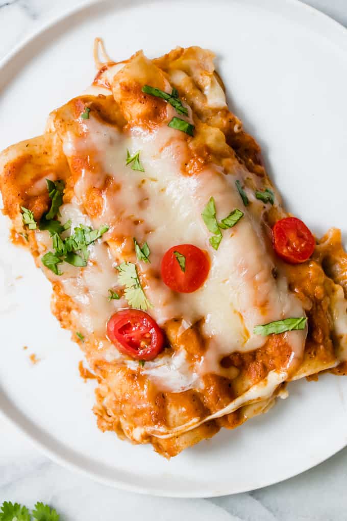 Draufsicht auf Käse-Enchiladas mit Tomaten und frischem Koriander.