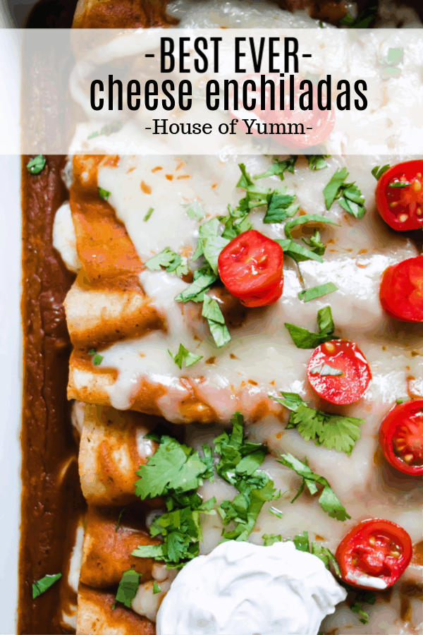 Best Ever Cheese Enchiladas House of Yumm