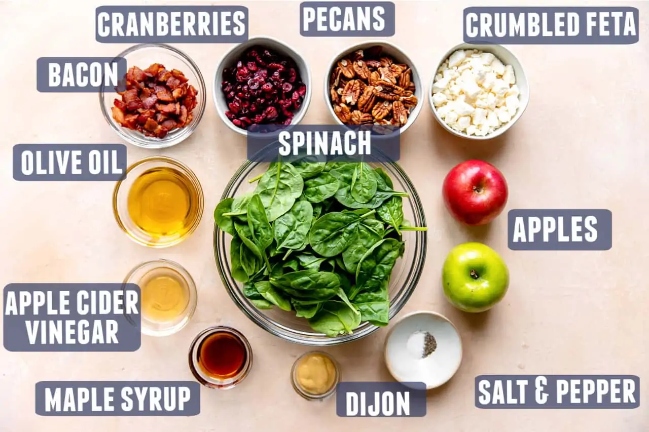 Ingredients needed to make an autumn salad with apples laid on the counter.
