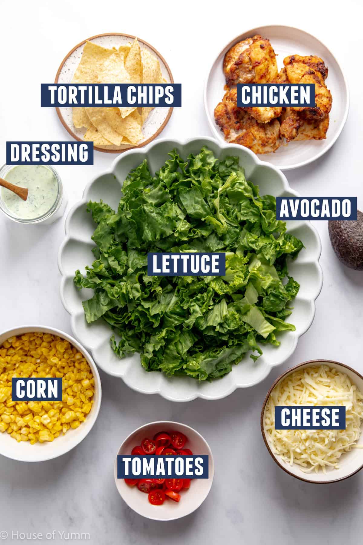 Ingredients needed to assemble a chicken taco salad.