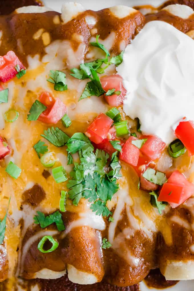 Chorizo Enchiladas laying in a baking dish, topped with fresh cilantro, green onions, tomatoes and sour cream.