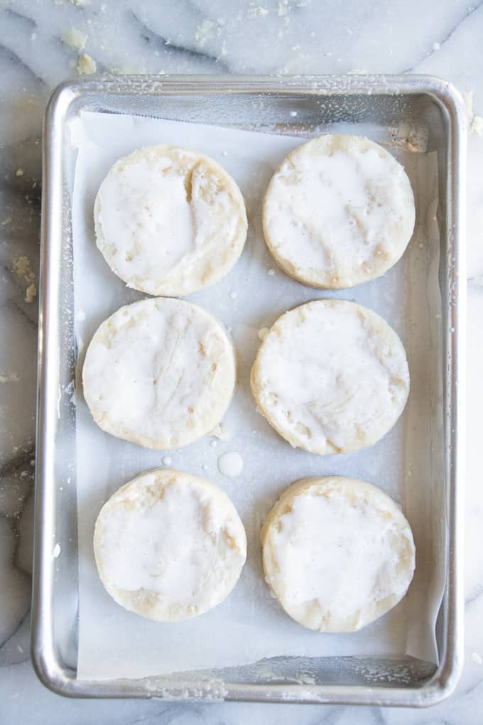 Cut out homemade biscuits, brushed with cream, ready to be baked.