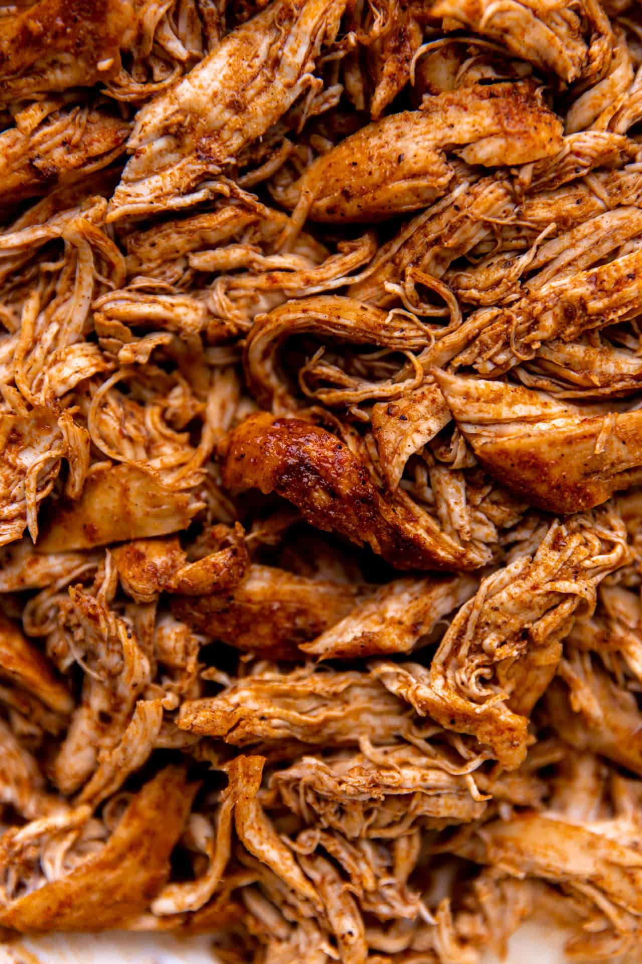 Up close view of shredded Mexican style chicken. 