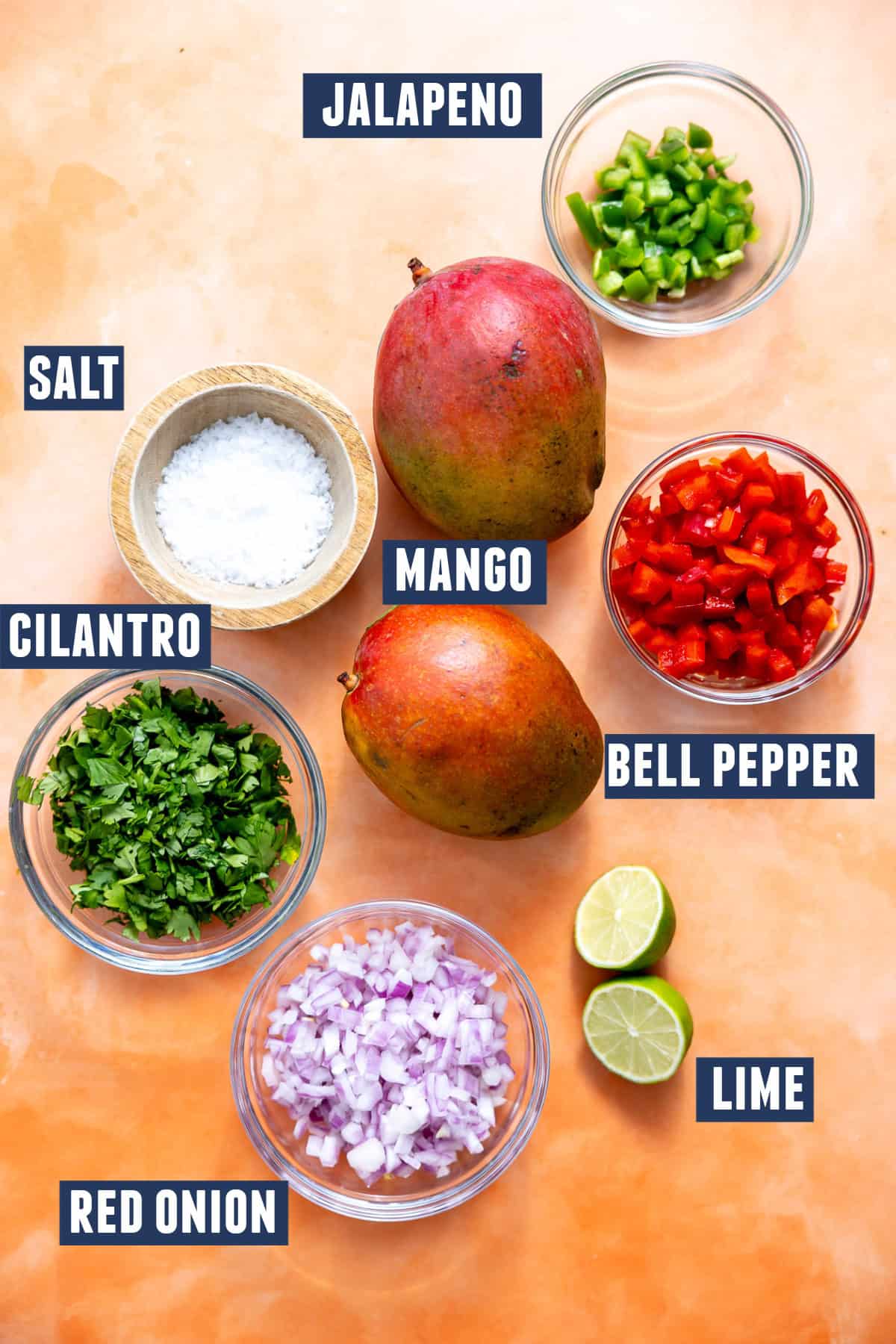 Ingredients needed to make Mango Salsa.