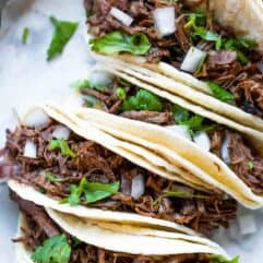 Slow cooker barbacoa street tacos lined up and topped with cilantro and diced onion.