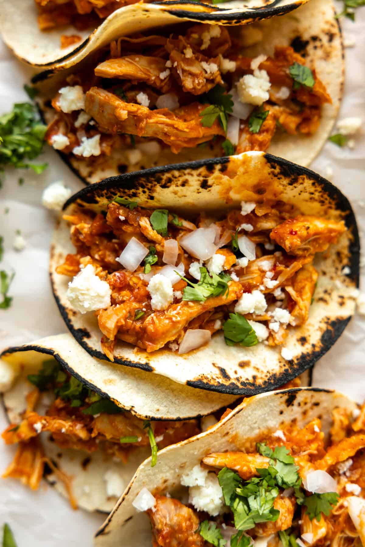 Corn tortillas with charred edges filled with chicken Tinga, topped with diced onion and cilantro. 