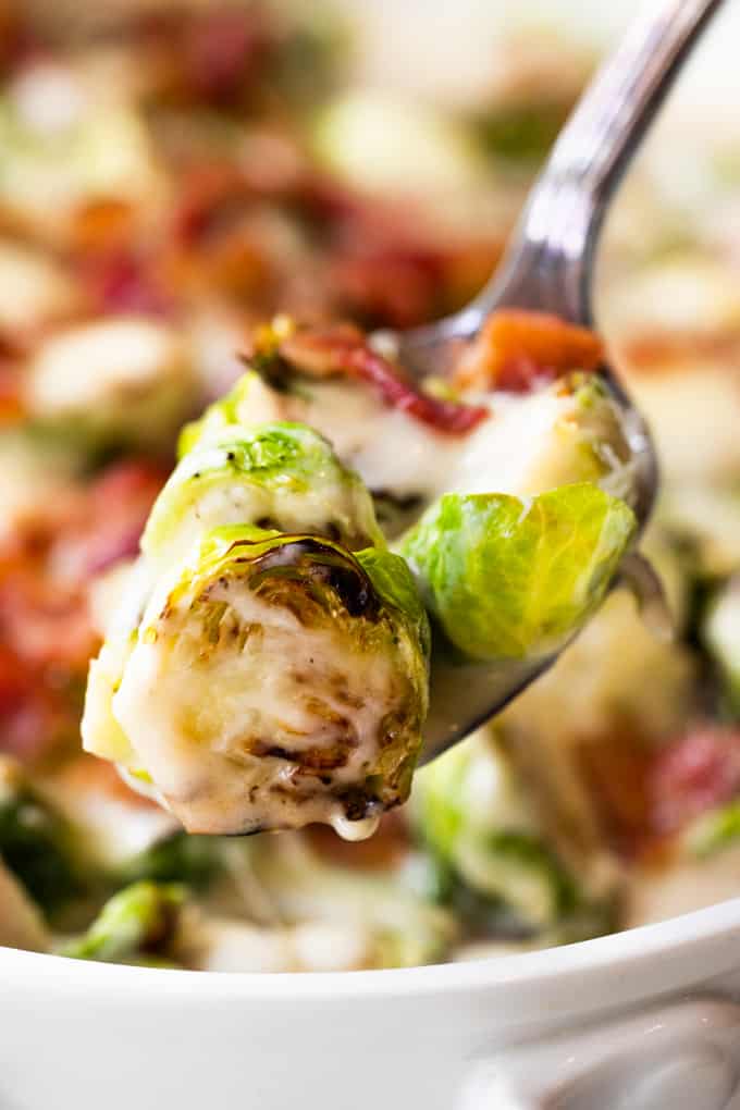 Spoon holding creamy Brussels sprouts with bacon.