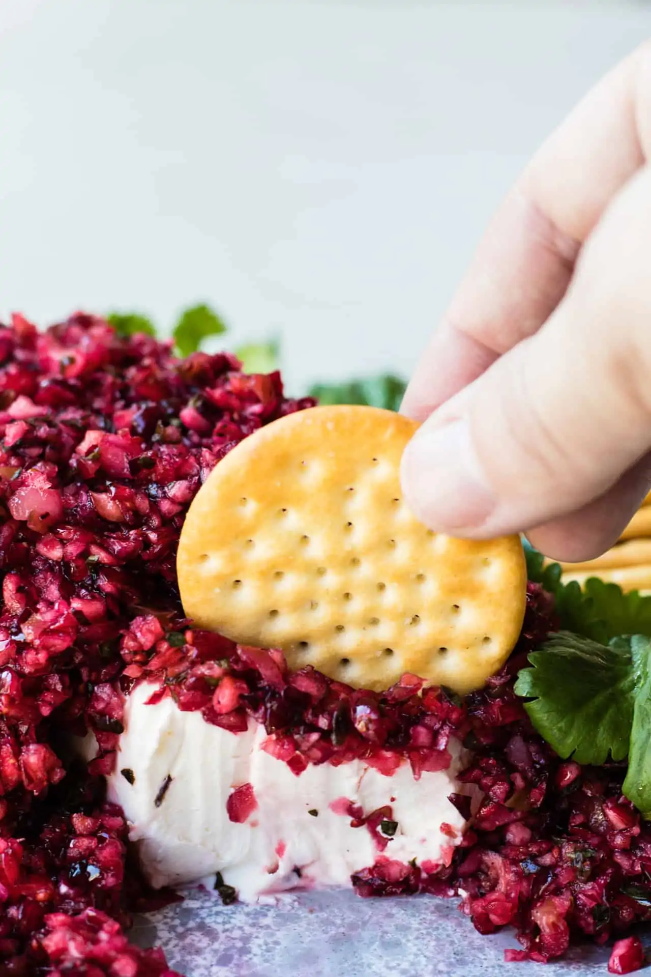 Cracker scooping up homemade cranberry salsa and cream cheese.