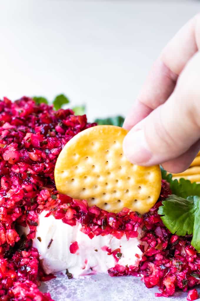 Cranberry SalsaThe PERFECT Holiday Appetizer! House of Yumm