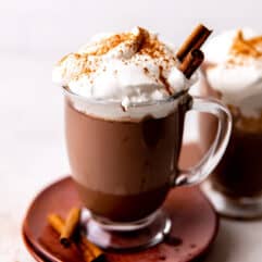 Glass mug of homemade mexican hot chocolate topped with whipped cream and garnished with cinnamon sticks.