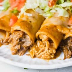 Tex Mex enchiladas showing different fillings (shredded beef, pork, chicken and cheese)