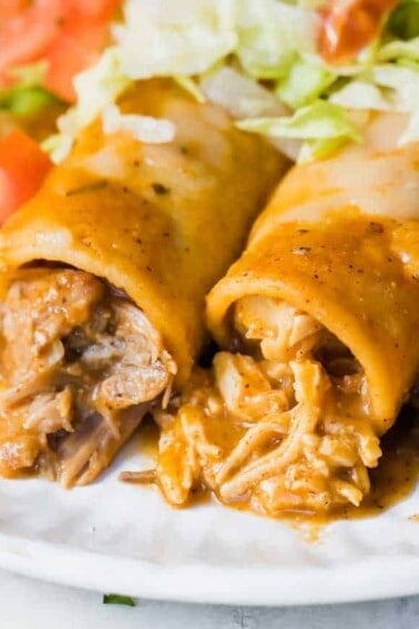 Tex Mex enchiladas showing different fillings (shredded beef, pork, chicken and cheese)
