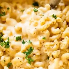 Up close showing creamy homemade cheese pasta.