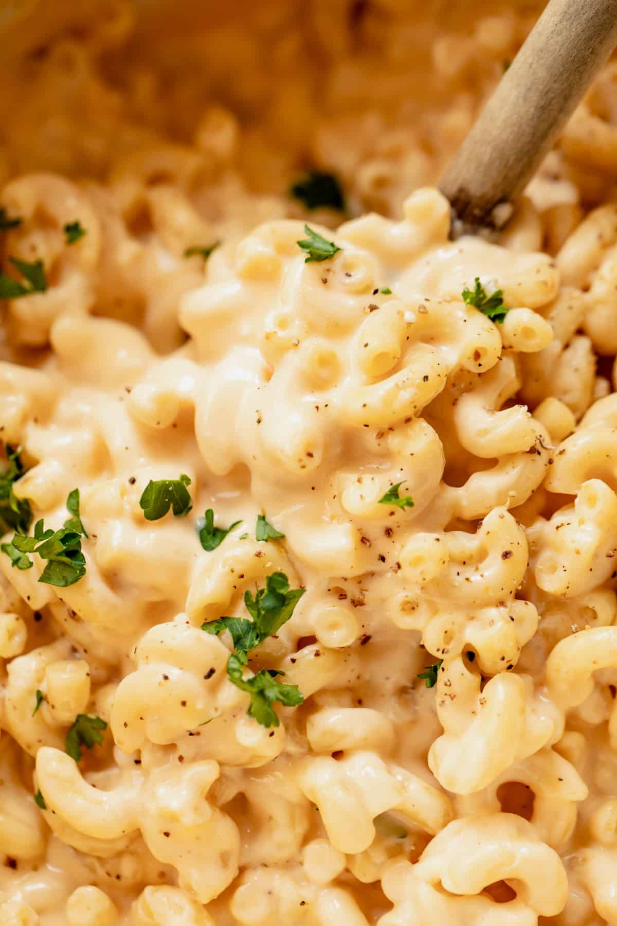 Up close view of mac and cheese being served with a wooden spoon. 
