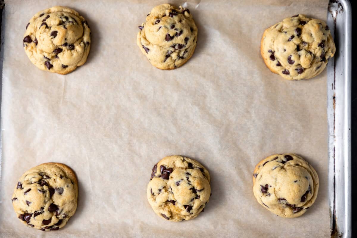 Baked cookies on a cookie sheet. 