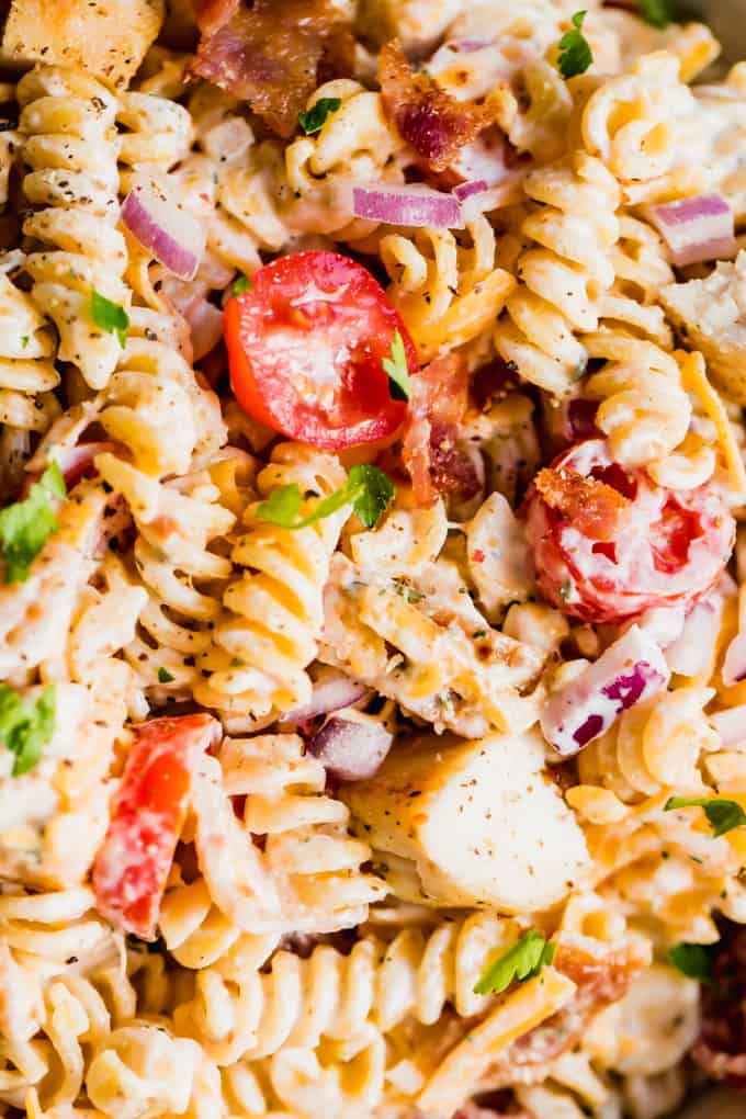 Close up view of rotini noodles tossed in a ranch dressing with chunks of chicken, bacon, tomatoes, red onion and shredded cheese.