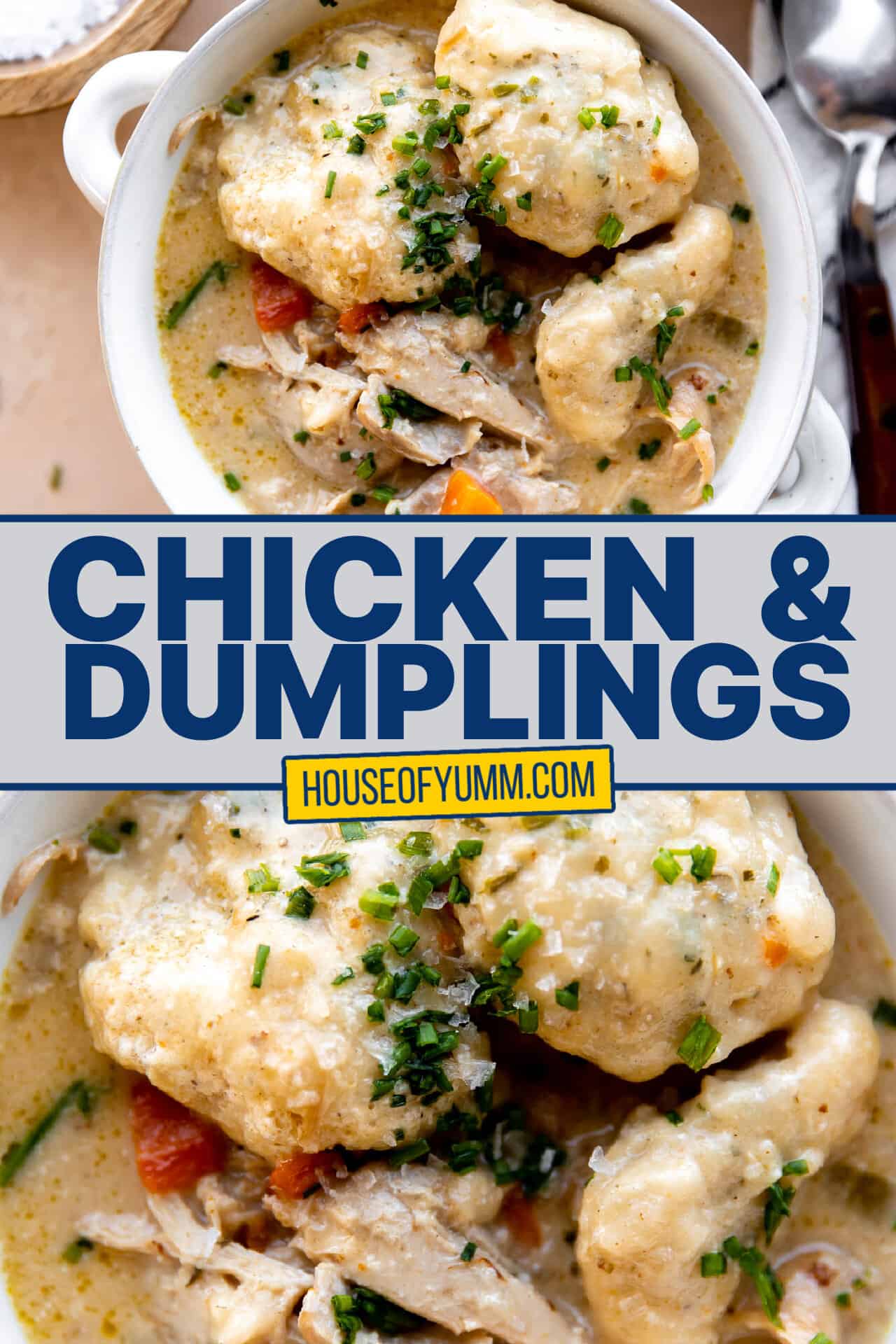 Classic Chicken and Dumplings - House of Yumm