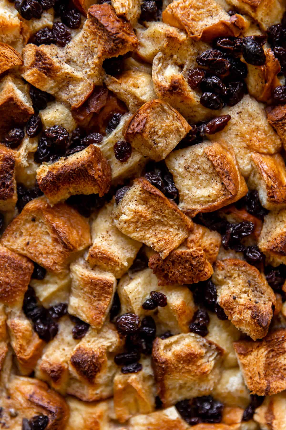 Up close baked bread pudding.