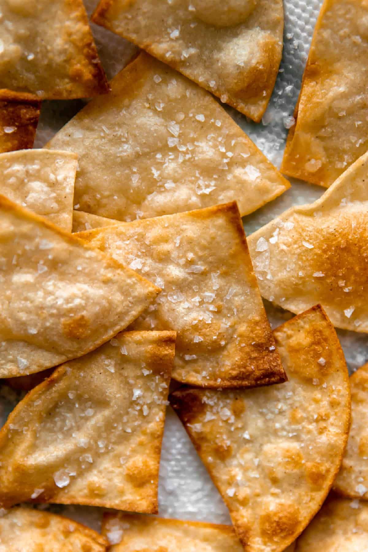 Fried tortilla chips sprinkled with salt.