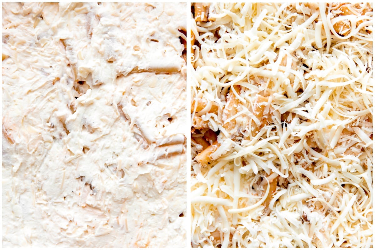 Ricotta spread on top of noodles, then sprinkled with shredded cheese.
