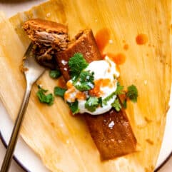 Red Pork Tamales topped with sour cream, cilantro and hot sauce.