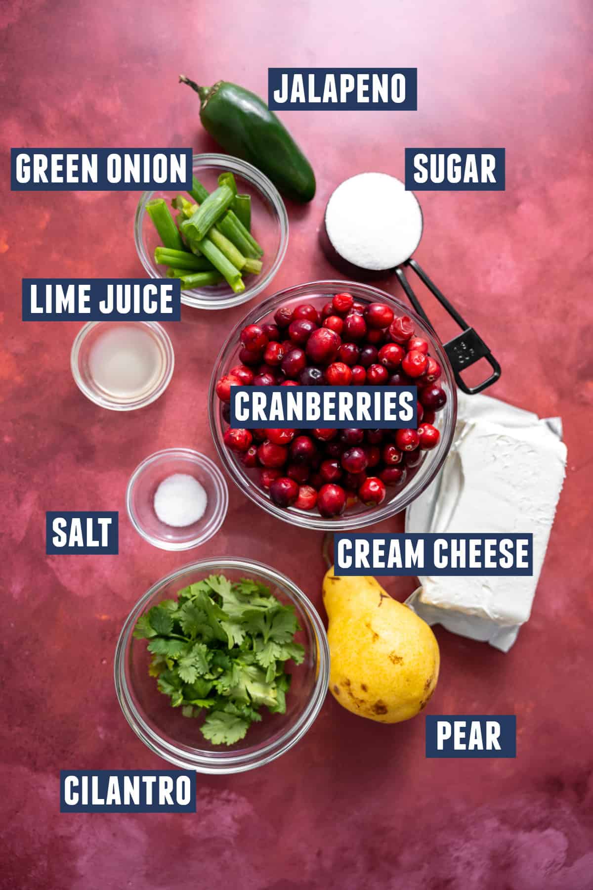 Ingredients needed to make cranberry salsa laid out.