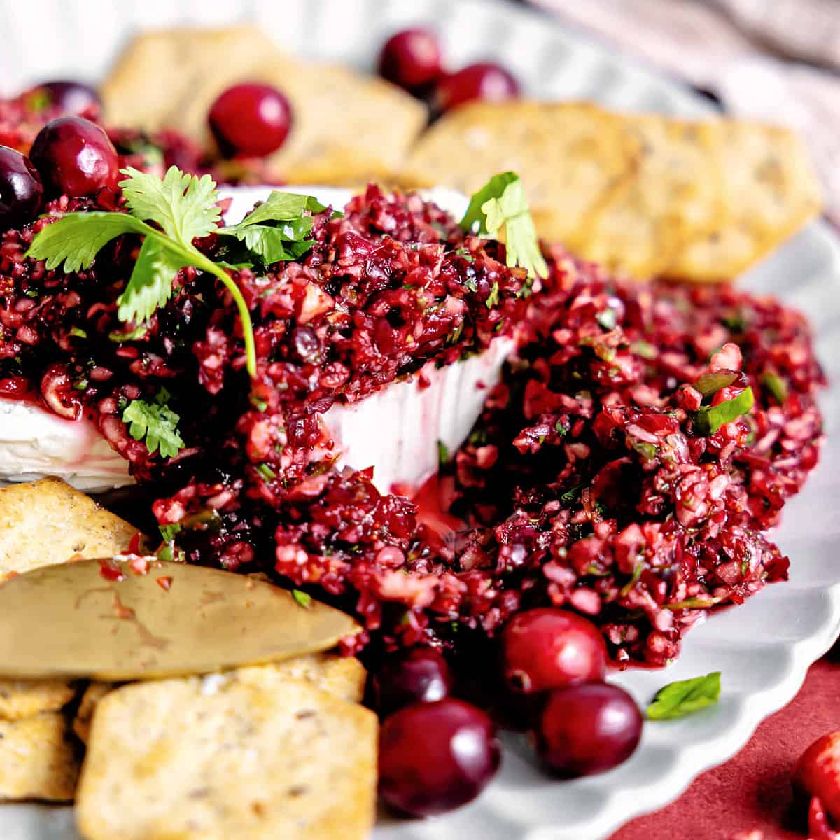 Cranberry salsa served over cream cheese with crackers. 