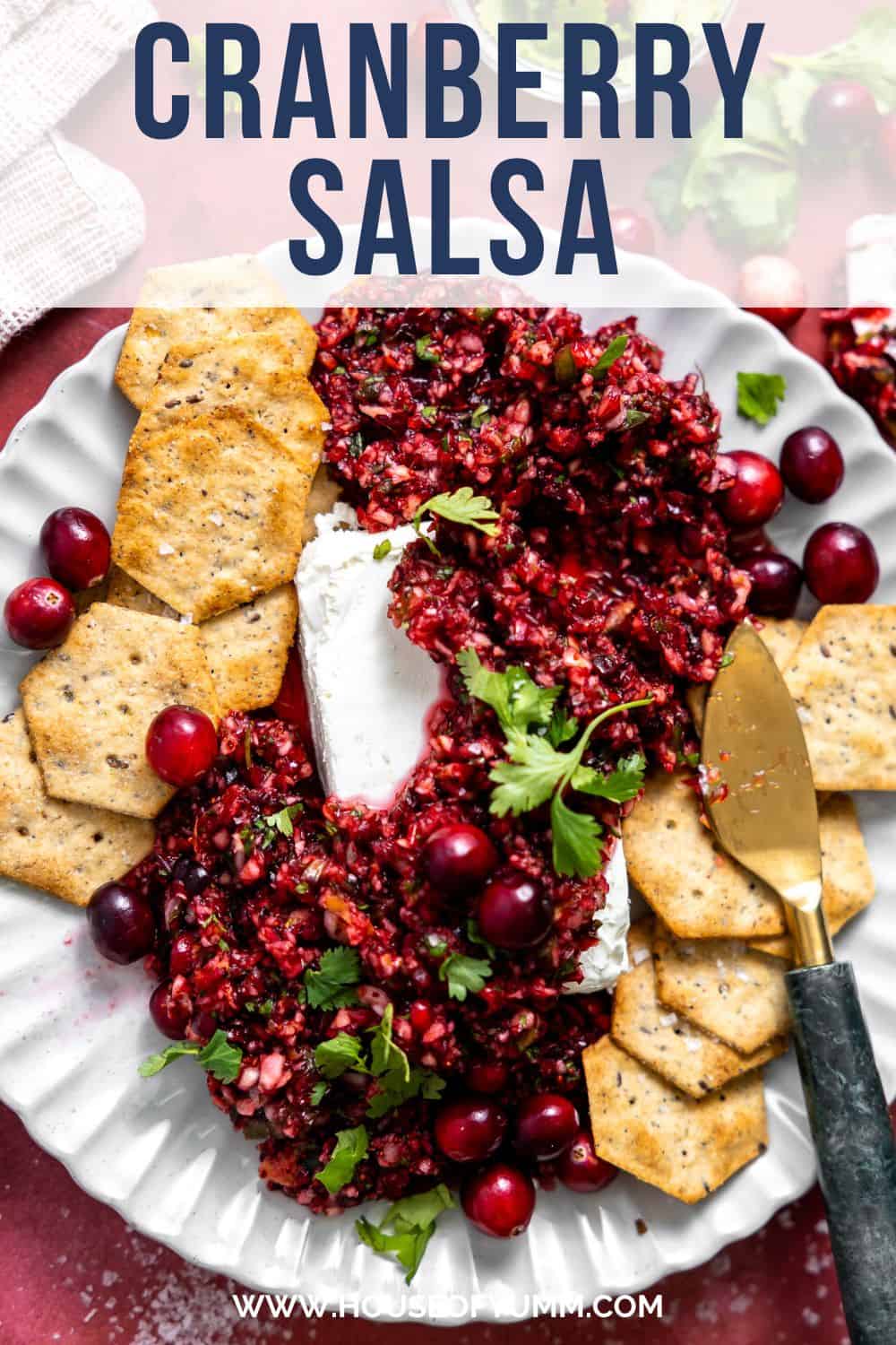 Cranberry Salsa with text.