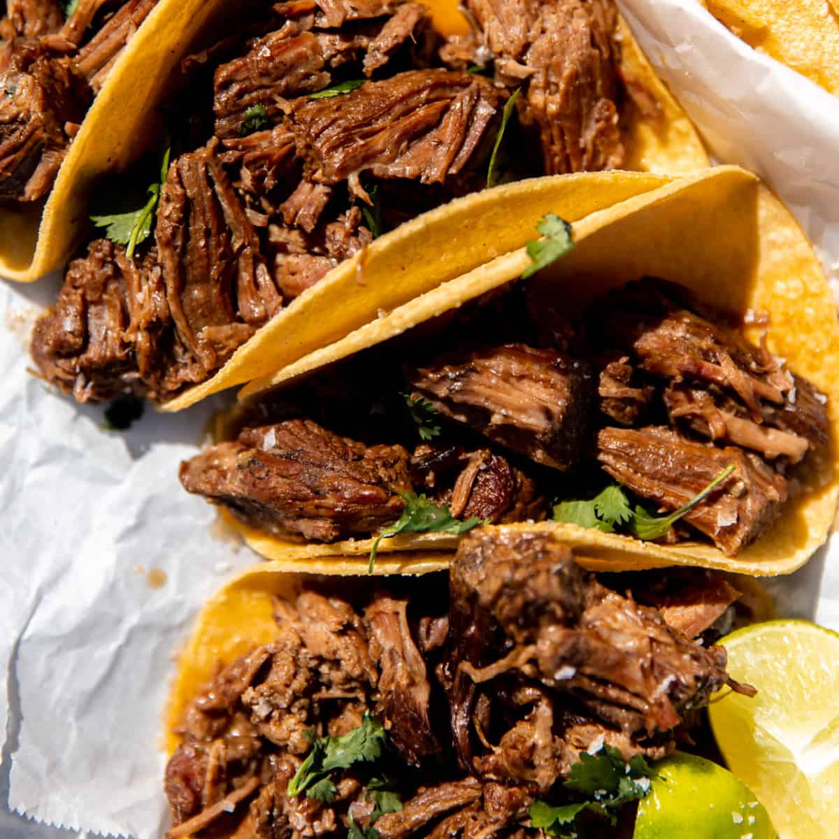 Shredded beef tacos topped with cilantro. 