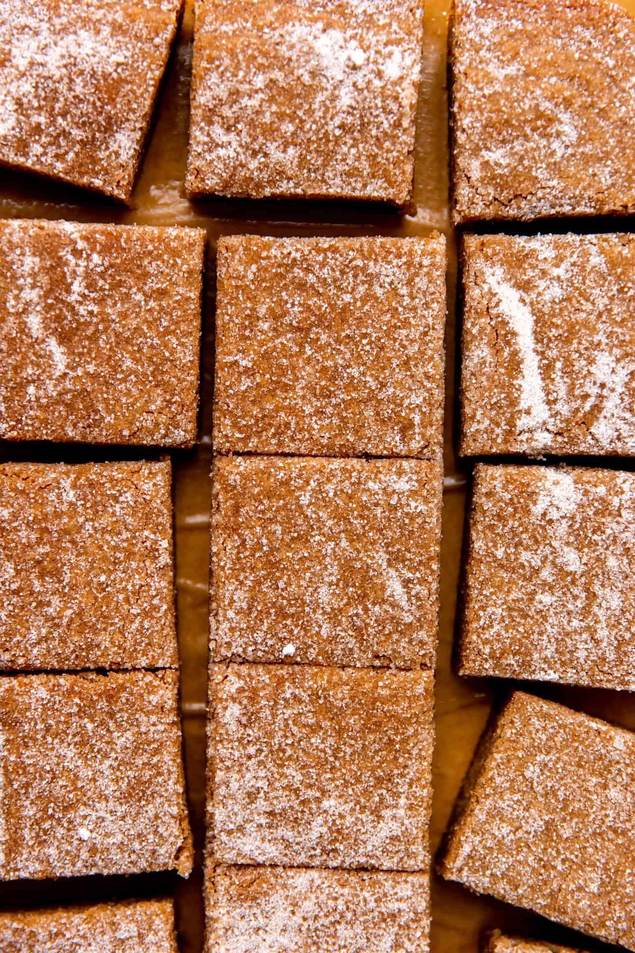 Overhead shot of cinnamon blondies topped with cinnamon sugar, sliced into square bars.