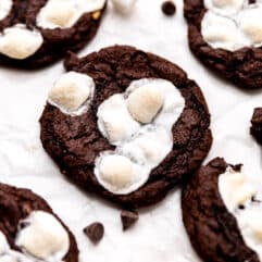 Overhead of mexican hot chocolate cookies topped with toasted marshmallows.