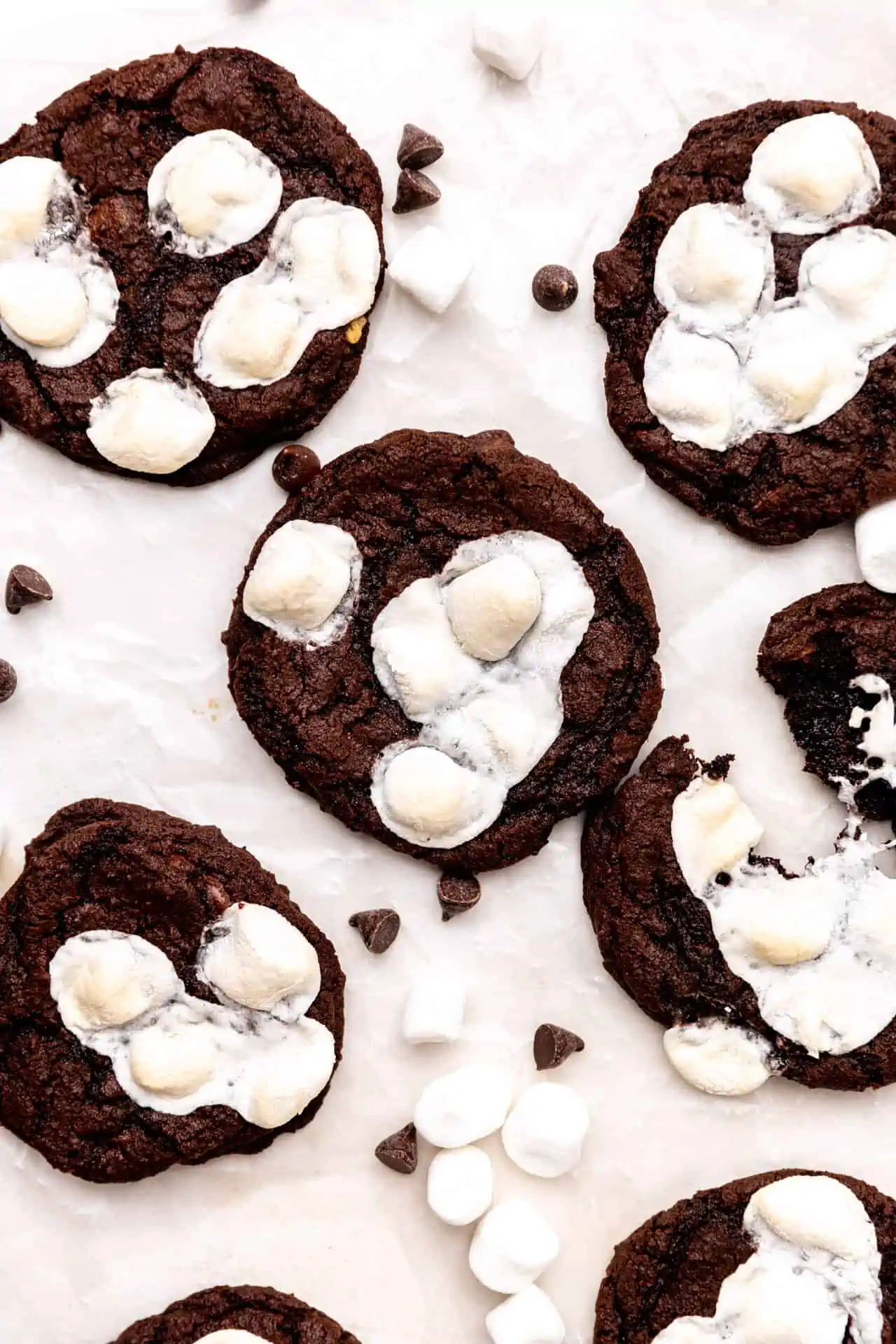 Overhead of mexican hot chocolate cookies topped with toasted marshmallows.