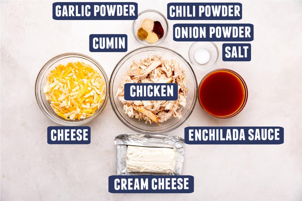Ingredients for chicken enchilada dip laid on the counter: chicken, cheese, enchilada sauce, chili powder, onion powder, cumin, garlic powder, salt, and cream cheese. 