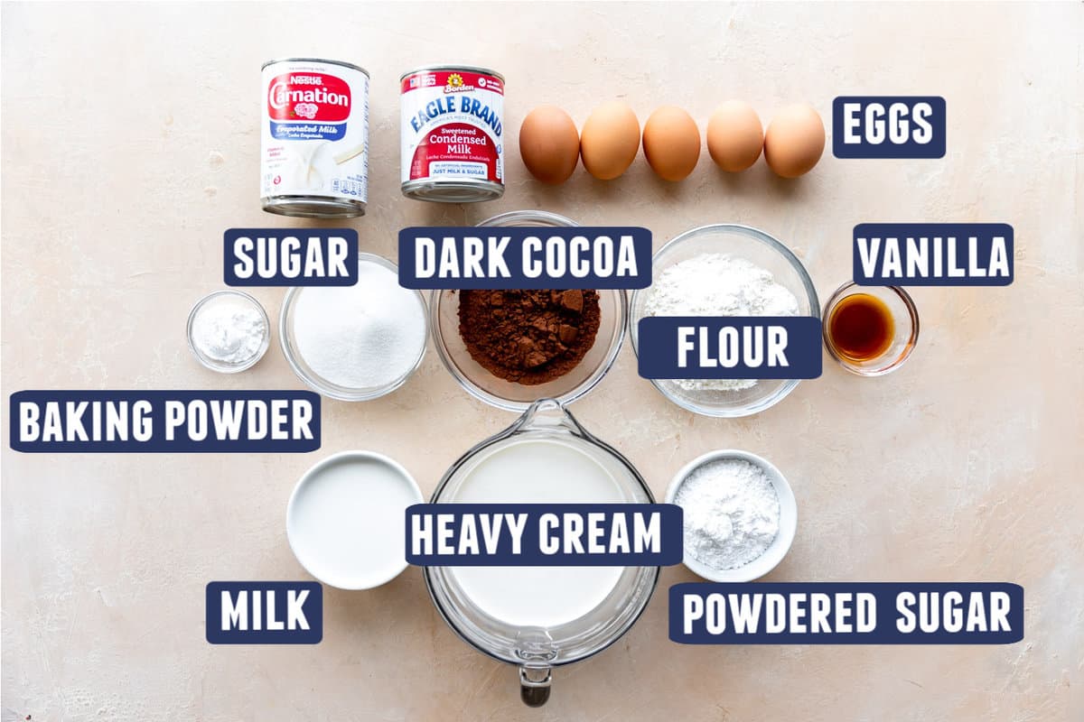 Ingredients needed to make a chocolate tres leches cake laid out on the counter.