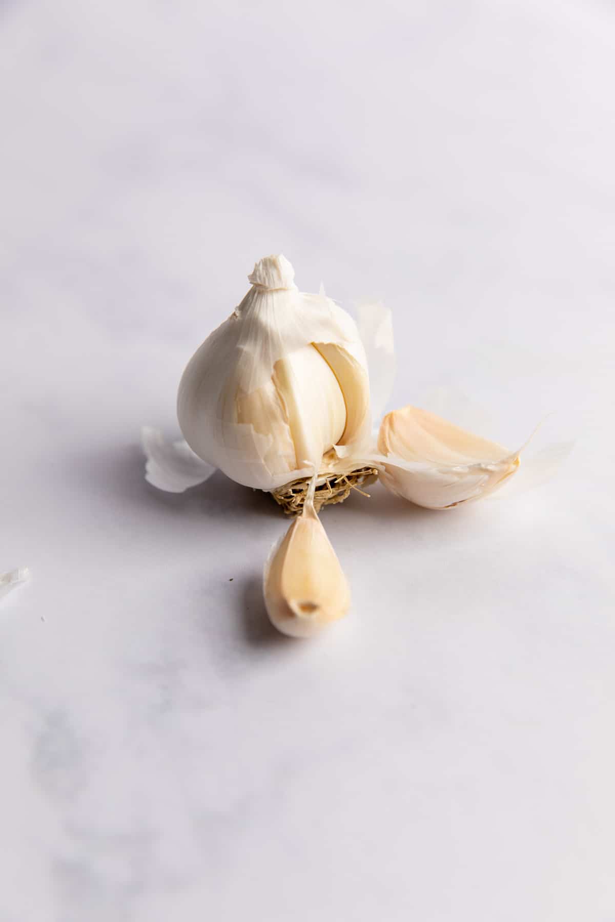 What is a Clove of Garlic? House of Yumm