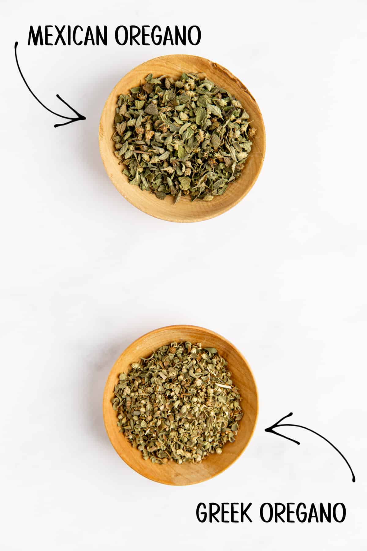 mexican oregano vs oregano