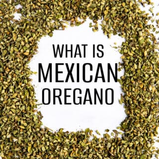 Mexican Oregano spilled on the counter.