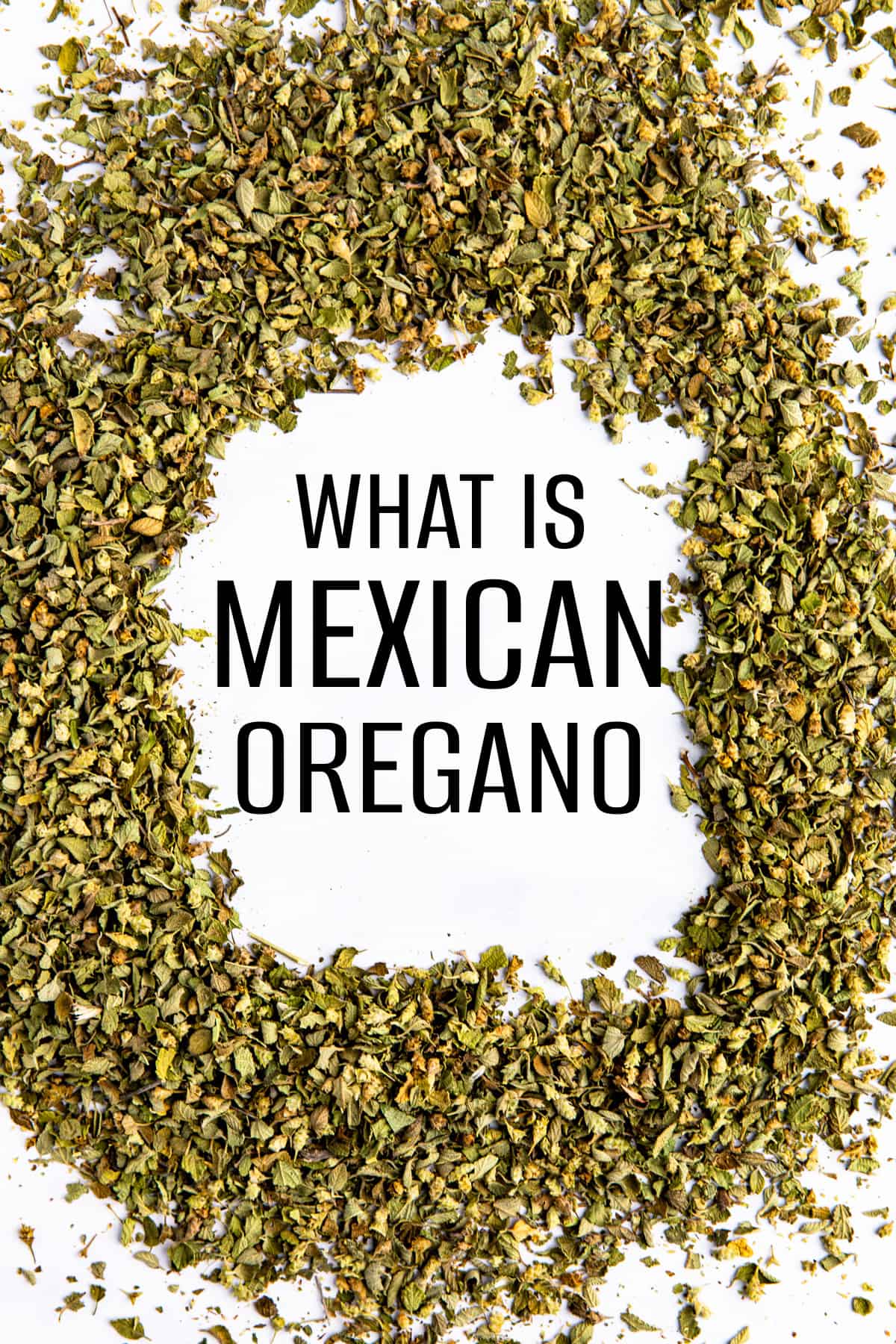Mexican Oregano spilled on the counter.
