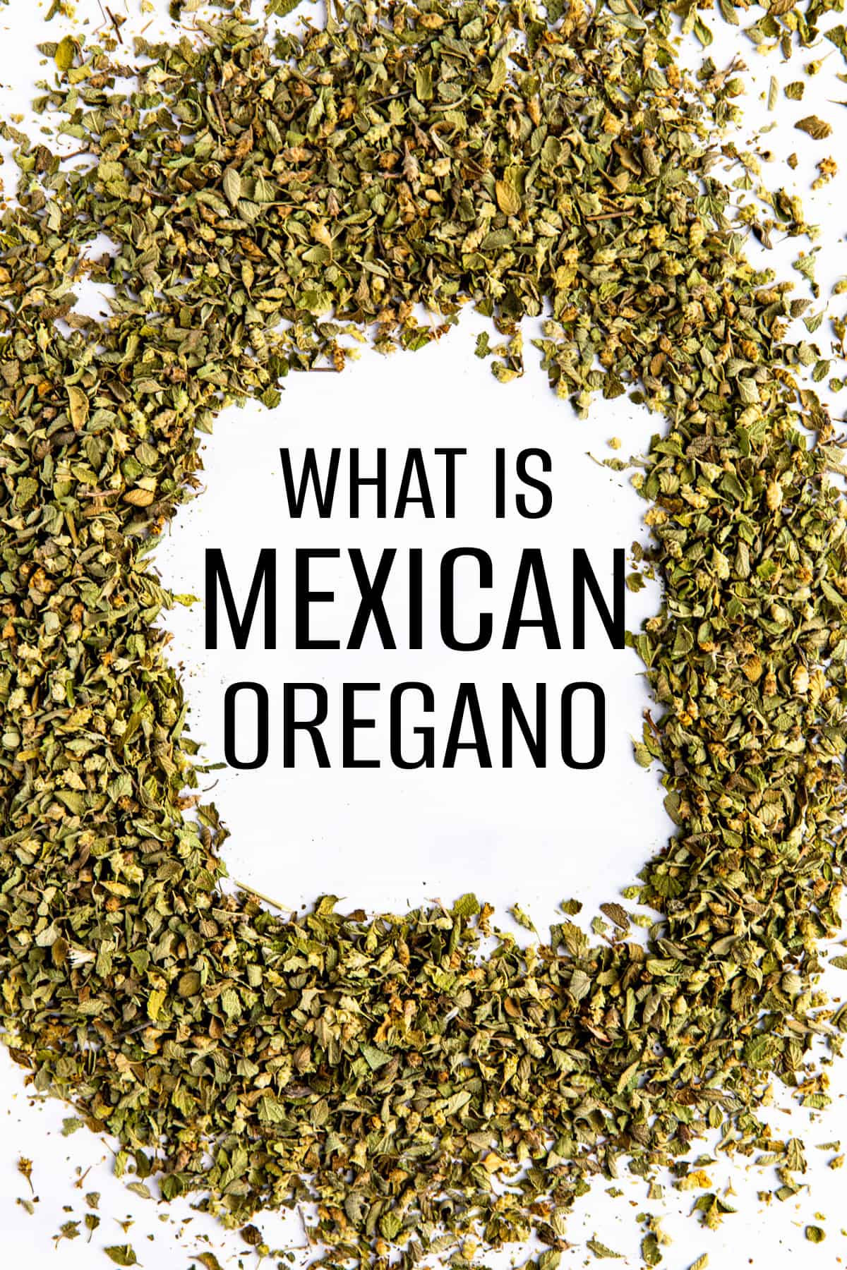 mexican oregano vs oregano