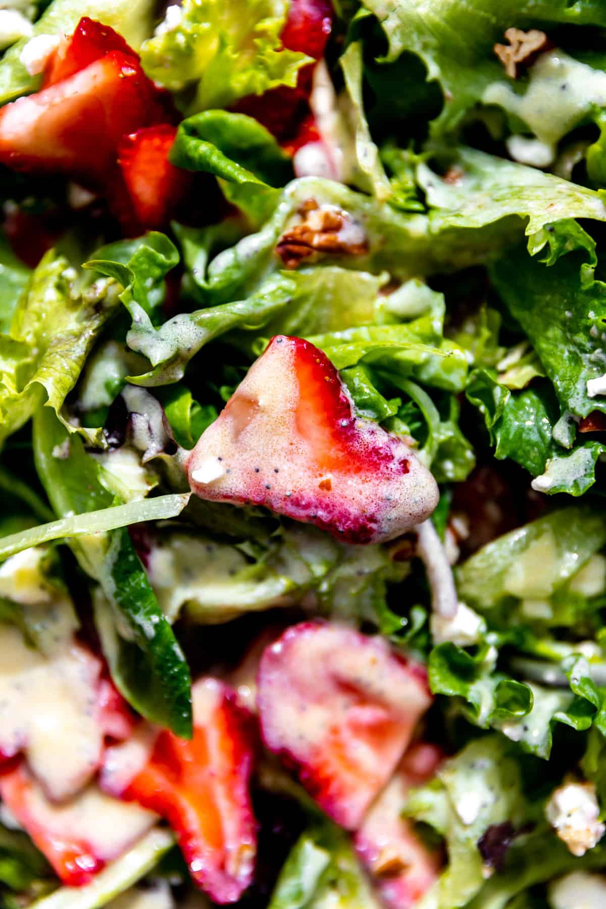 Up close of a strawberry salad mixed and dressed with creamy poppyseed dressing.