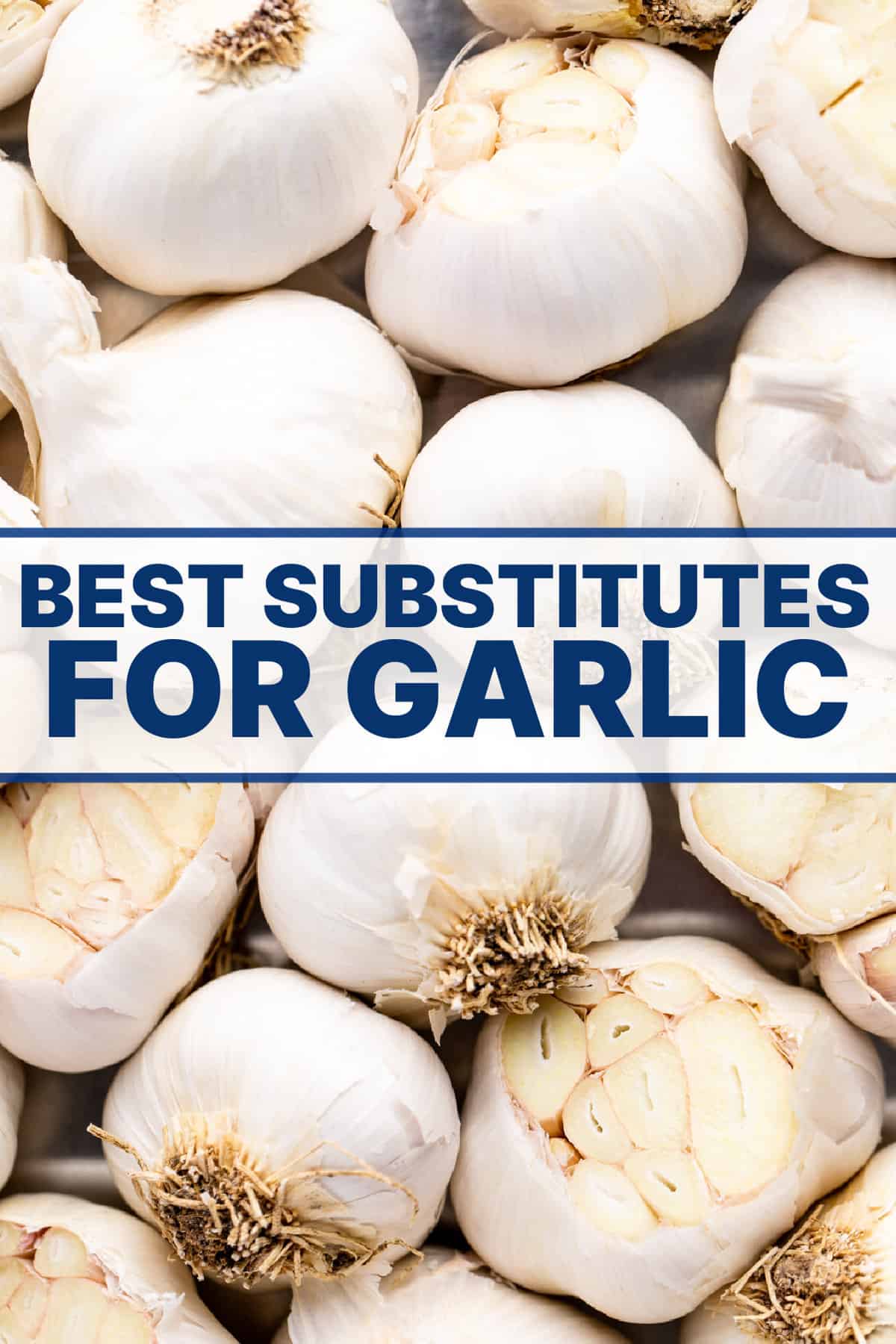 Garlic bulbs spread out, some with tip cut off to reveal cloves inside. 