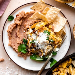 Plate with refried beans, and scrambled egg mias with tortillas chips, topped with queso fresco and fresh cilantro.