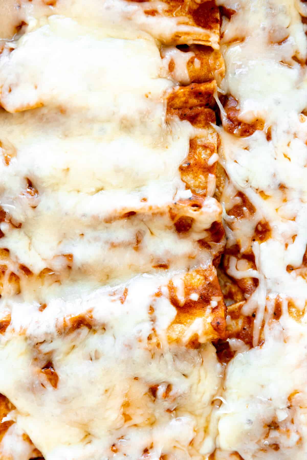 Tex Mex cheese enchiladas topped with extra melty cheese after baking.
