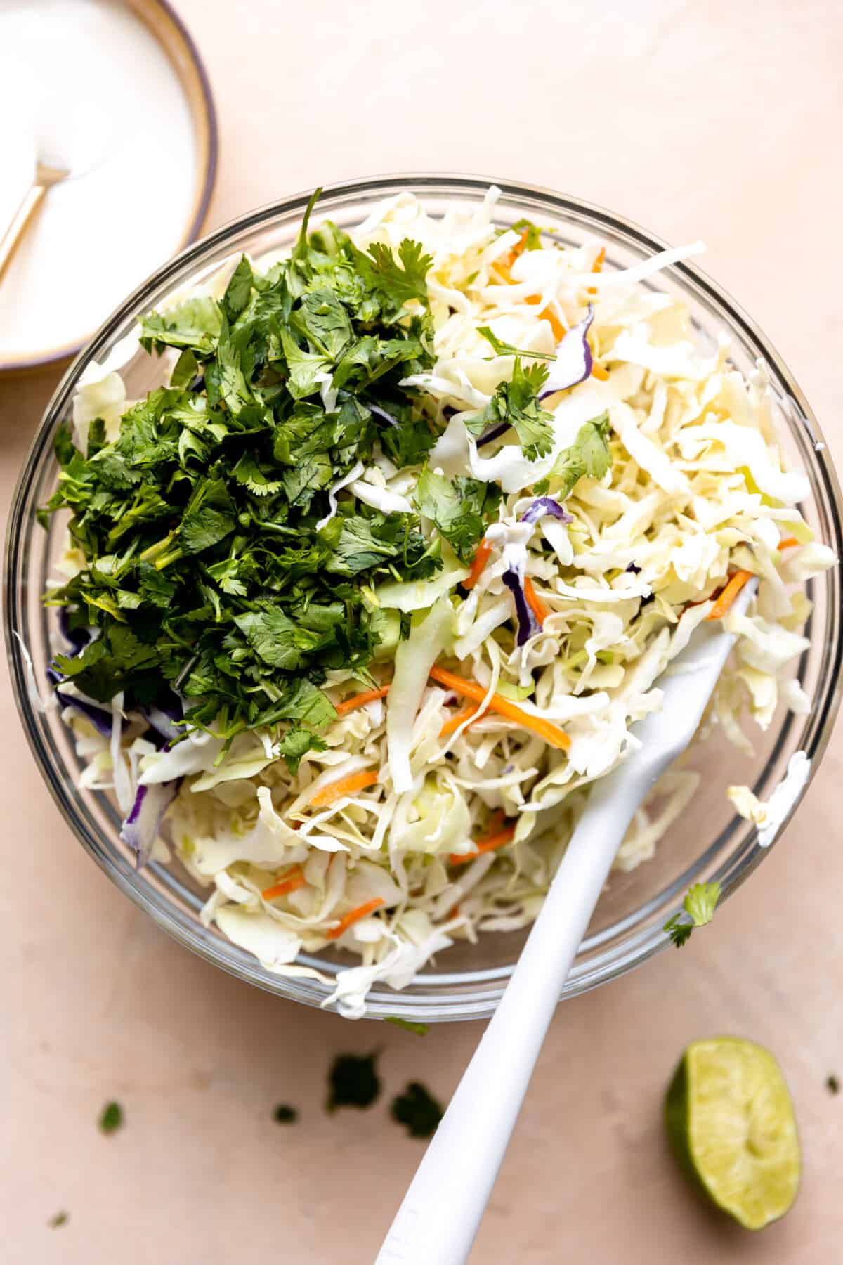 Bowl with shredded cabbage and fresh cilantro for making taco slaw. 